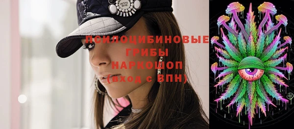 молекула духа Зеленодольск
