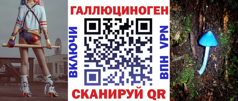 где можно купить   Кадников  Псилоцибиновые грибы Cubensis 